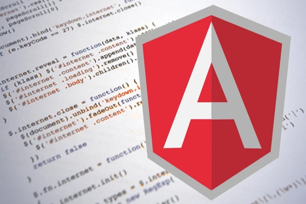 Angular JS Consulting Services